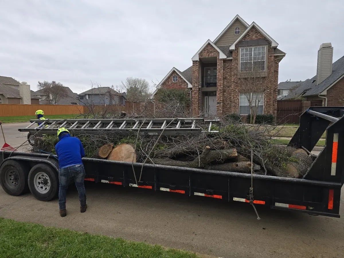 Expert Tree Pest Control with proper safety equipment in Pennington